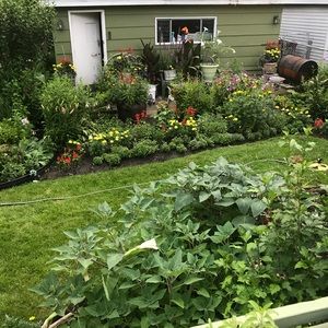 Meet your Posher, Devin